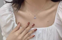 迪后（Dirholl）四叶草铂金项链女镶钻PT950吊坠白金锁骨链七夕情人节礼物送女友 铂金项链搭配白钻吊坠【免费刻字/代写贺卡】 实拍图