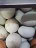豫宛农夫农家散养生鸭蛋 鲜土鸭蛋  新鲜发货 40枚装 单枚60-70g 实拍图