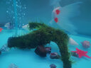 异景园鱼缸水族箱造景水榕沉木活体水草淡水无土植物后景真水草净水增氧 大号莫斯沉木 实拍图