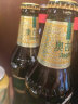 青岛啤酒（TsingTao）青岛奥古特330ml*24瓶装啤酒整箱经典玻璃瓶小瓶装 部分6月份到期 330mL 24瓶 晒单实拍图