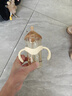 奶爸爸（Nicepapa）翻盖奶瓶240ml一岁以上ppsu吸管杯6个月防胀气学饮杯儿童直饮杯 按压款-12月以上+清洗剂+直饮管+吸管刷 实拍图