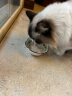 希宝猫罐头鸡肉85g*24罐海鲜汤汁系列进口猫粮猫湿粮整箱装 实拍图