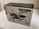 隆品大黄蜂3d隆品金属拼装模型机械精密昆虫组装diy玩具不锈钢送男孩 黑金大黄蜂-荣耀版（拼装包） 晒单实拍图