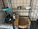 蔻丝【加粗方管】猫笼子超大号家用猫窝别墅带厕所一体室内屋宠物猫笼 超大四层【78*55*137】自由空间 【超值款】吊床+脚垫+托盘+爬梯 实拍图