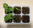 史丹利（STANLEY）营养土40L大包装营养土养花专用通用型花土种菜种花土壤 实拍图