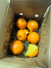 江西赣南早脐橙整箱当季新鲜早橙子榨汁水果礼盒皮薄多汁节日团购 【尝鲜净重1.8斤单个110g+ 实拍图
