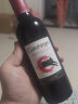 黑猫智利黑猫红酒赤霞珠干红GatoNegro 智利进口葡萄酒国际品牌猫酒 375ml毫升装赤霞珠2021年12瓶 实拍图