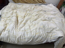 罗莱家纺纯棉床上四件套80支匹马棉 轻奢床单被套双人套件 200*230 实拍图