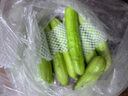 蔬果哆山东海阳 白玉黄瓜5斤装  水果黄瓜 2.5kg 实拍图