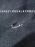 装耐保暖御寒户外工作服棉衣男冬季加厚劳保棉袄防寒大衣大袄长款大袄  短款藏蓝棉衣  180/XXL（140-160斤） 实拍图