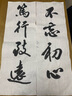 凌美德国进口 凌美(LAMY)签字笔钢笔专用德国原装进口配件 凌美-墨胆黑色5只装 实拍图