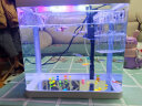 YEE小鱼缸水族箱高清玻璃小型客厅桌面懒人非免换水生态过滤鱼缸31cm 实拍图