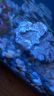 疯狂水草（FKSC）鱼缸造景青龙石自然摆件假山生态装饰石头 酸洗青龙石 3斤  形状数量随机发货 实拍图