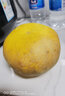 皇金蜜福建黄金葡萄柚纯甜爆汁大果新鲜水果黄心西柚纯甜时令中秋礼盒装 净重4.4斤 单果250g+ 实拍图