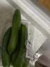 小汤山 北京 荷兰黄瓜 350g 基地直供新鲜蔬菜 实拍图