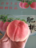 正宗肥桃肥城水蜜桃现摘现发好吃白桃子水果礼盒发货净重3斤5斤 6只装丨单果7-8两【精品礼盒装】 实拍图