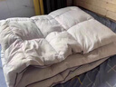 浪莎（LangSha）全棉国标羽绒被95白鹅绒被子冬被加厚保暖秋冬被褥空调棉质被芯纯 羽绒被-奶白色 200x230cm约8斤【已质检】 实拍图
