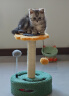 华元宠具（hoopet）猫爬架小型猫抓柱剑麻磨爪猫抓板转盘玩具球猫咪玩具幼猫跳台猫爬 转盘逗猫爬架-向日葵 实拍图