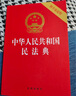 2024年中华人民共和国民法典（法律条文·司法解释·典型案例）大字版  批量采购专线400-026-0000 实拍图