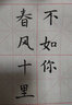 【全网低价】弘梅罗纹砚台 带盖天然原石书法国画学生初学用4寸砚台 文房四宝毛笔墨汁用墨池 实拍图