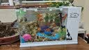 长锐侧滤鱼缸桌面办公室免换水生态水草超白水族箱 K400加热版【长41 宽22 高29】 实拍图