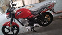 YAMAHA雅马哈摩托车天剑YBR街车复古太子GT150整车JYM150-8跑车YAMAHA 天剑YBR150Z/雅致红/前碟后鼓刹 实拍图