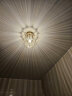 卡诺爱迦 水晶过道灯走廊灯现代简约创意玄关阳台吸顶灯 【金色】南瓜形 直径20cm 实拍图