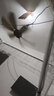 YANGZI家用小吊扇床上学生宿舍小风扇大风力卧室迷你小型蚊帐电风扇轻音电扇 5叶标配（1.5m电源线） 实拍图