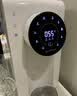 滨特尔（pentair） 饮水机家用净水器台上免安装反渗透过滤即热净饮一体净水机DP1-06滤芯 二级反渗透滤芯 实拍图
