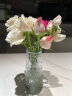 盛世泰堡玻璃花瓶透明植物插花瓶水培客厅摆件锥桶条纹 晒单实拍图