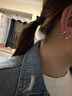 PWL小香风四叶草耳环女2025年新款潮精致轻奢小众耳圈网红高级感耳饰 黑色四叶草耳圈 实拍图
