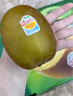 佳沛（zespri）新西兰阳光金奇异果16-18粒原箱单果重约175-233g水果猕猴桃 实拍图