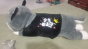康润驿沣哈士奇公仔大毛绒玩具狗熊娃娃玩偶抱枕女生睡觉抱520情人节礼物 余生都是你 胖版全长1.2米（加20CM小哈） 实拍图