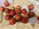 涑淇源鲜山楂山楂果大金星大五棱山楂鲜摘现发新鲜山楂 泡膜箱包装3斤山楂 实拍图