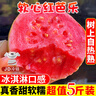 甜野里福建红心芭乐软糯番石榴5斤白心软芭乐冰淇淋口感胭脂红送礼水果 3斤软糯红芭乐 【JDL冷链速运】 实拍图