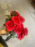 黛莉森仿真玫瑰花假花婚礼装饰花摆设客厅餐厅永生花摆件生日礼物送女友 10枝玫瑰-红色 实拍图