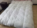京东京造Duvet D'oie杜唯朵羽绒被 95%国产鹅绒被子冬季1150g 2.2*2.4米 实拍图