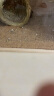 捕渔达人 芦丁鸡核桃砂垫料2.5kg 发酵床鹌鹑卢丁鸡柯尔鸭专用无尘核桃沙 实拍图