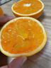 鲜青录伦晚脐橙秭归夏橙 九月红橙子新鲜春橙宜昌大甜现摘纽荷尔送礼 净重5斤大果（13个以内） 实拍图