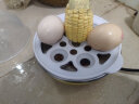 领锐（lingrui） 迷你煮蛋器蒸蛋器小型蒸蛋器自动断电蒸鸡蛋羹神器多功能单人早餐煮鸡蛋器蒸蛋机 XB-EC01单层黄色 实拍图