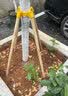 捕食螨加州新小绥螨柑橘草莓月季红蜘蛛天敌不退不换 3万只X8瓶发顺丰 晒单实拍图