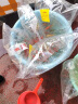 易萌 冷水鱼淡水观赏鱼草小金鱼活体鱼好养锦鲤鱼兰寿锦鲫活鱼小红鱼 草金鱼5-7cm 20条 实拍图