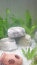森森（SUNSUN）鱼缸灯led灯照明灯变色LED水族箱造景灯龙鱼灯潜水灯 【9W光之白】45cm长 适合60-70缸 实拍图