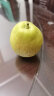 京鲜生 新疆库尔勒香梨2kg 单果80-100g 新鲜生鲜水果礼盒装 健康轻食 实拍图