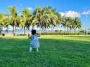 babylove女宝宝连衣裙夏季纯棉婴儿裙子无袖翅膀甜美刺绣美梦天使 实拍图