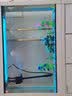 闽江（minjiang）鱼缸水族箱免换水生态造景客厅屏风中大型玻璃龙鱼缸观赏鱼家用 白色（礼包+升级过滤） 长100*宽30*高142（缸体+储物柜） 实拍图