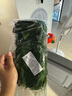 格沃斯（GEWOSI）速冻荠菜4斤冷冻新鲜野菜新鲜荠菜馅馄饨饺子馅450荠荠菜馅 2斤整颗荠菜（精选新菜） 实拍图