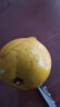 顺丰海南鸡蛋果3/5斤 蛋黄果当季热带孕妇生鲜水果新鲜应季广西 5斤 晒单实拍图