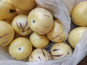 译蒙之味云南石林火山岩人参果新鲜树上熟人生果七彩黄肉圆果孕妇现摘整箱 9斤大果/单果80-100g 实拍图