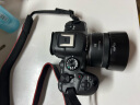 佳能（Canon） r6二代全画幅微单相机4K数码高清旅游vlog视频 r62代专业级微单 R6 Mark II单机身（不含镜头） 官方标配（不含内存卡/礼包，仅出厂配置） 晒单实拍图